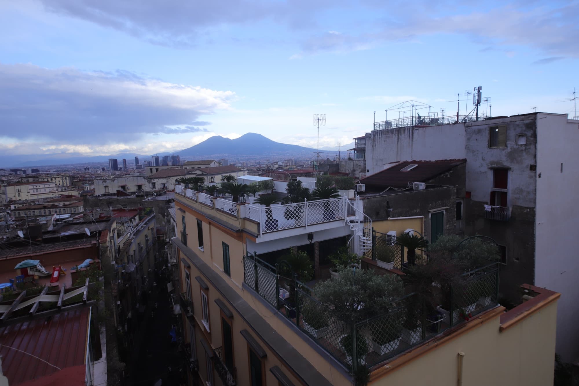 Terra Mia Fonseca — panorama