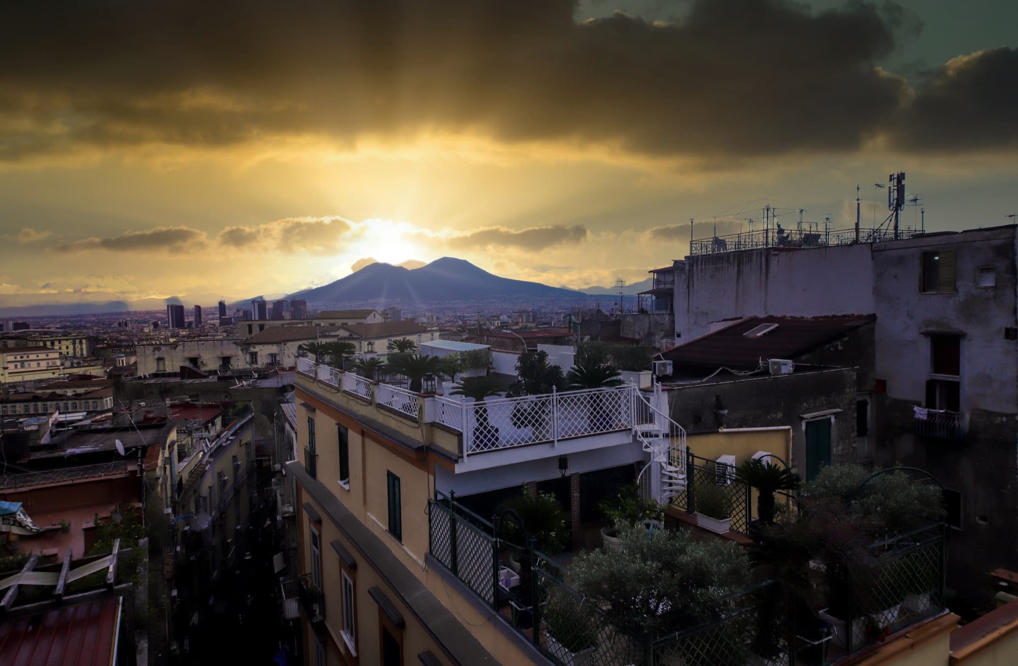 Terra Mia Fonseca — panorama