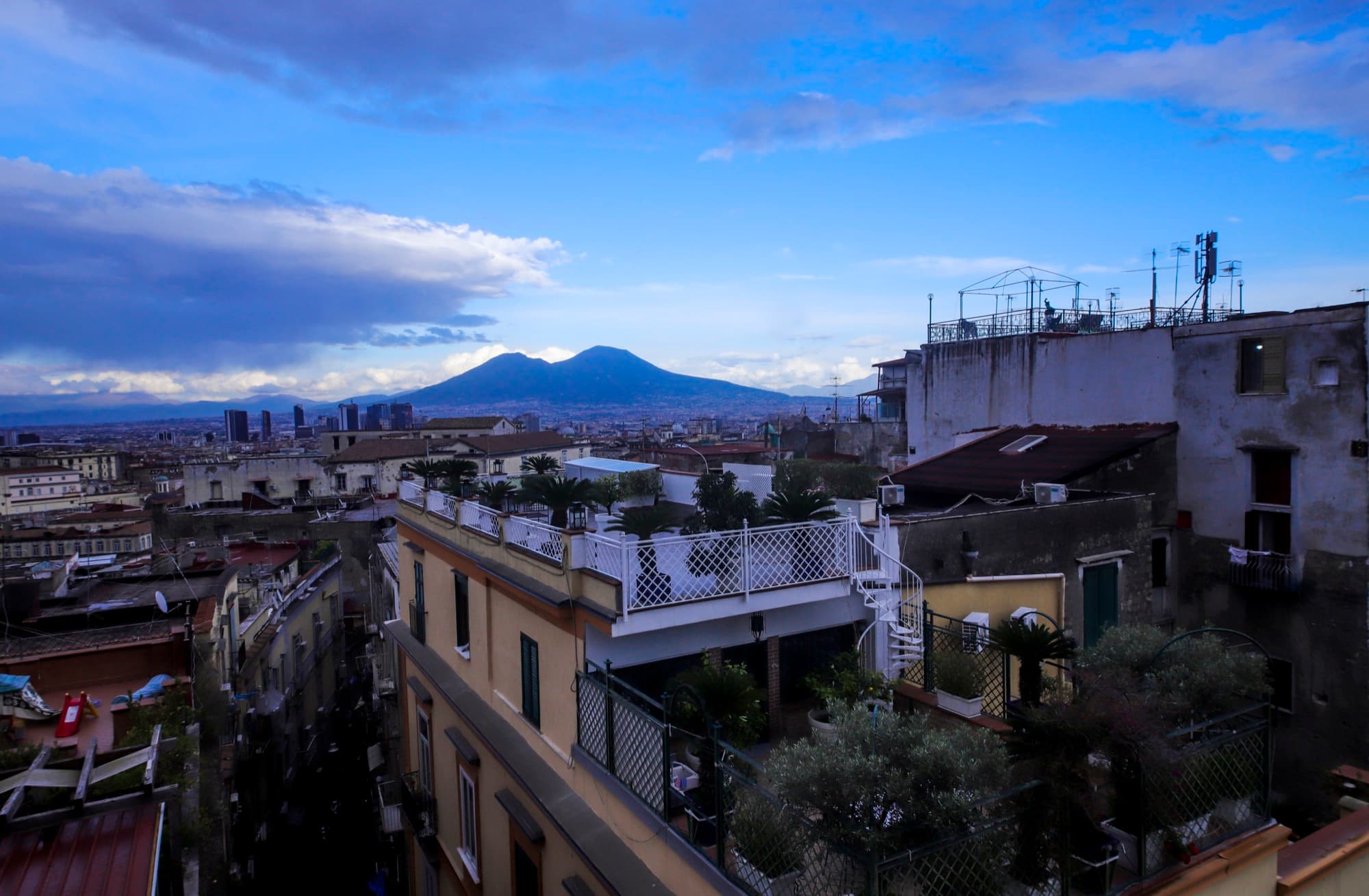 Terra Mia Fonseca — panorama